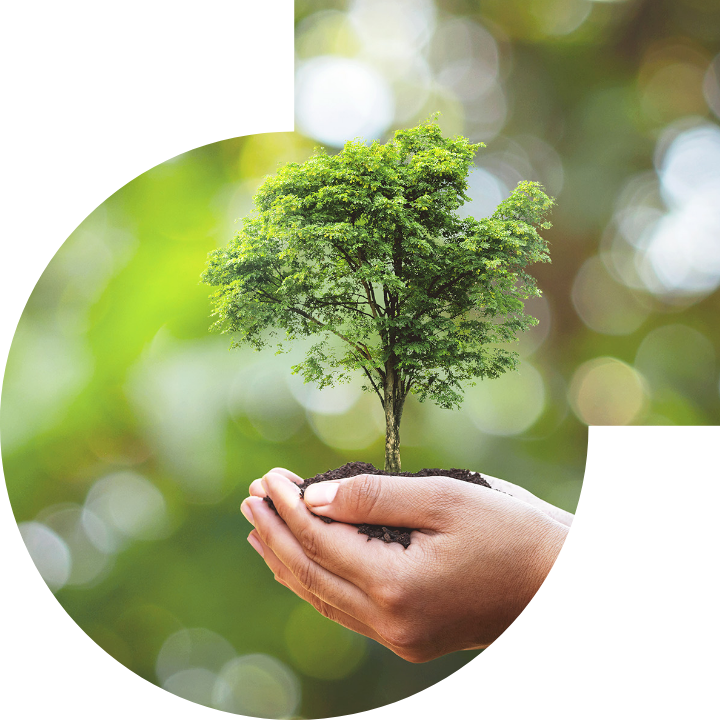 �P��������Ļ����h���c���