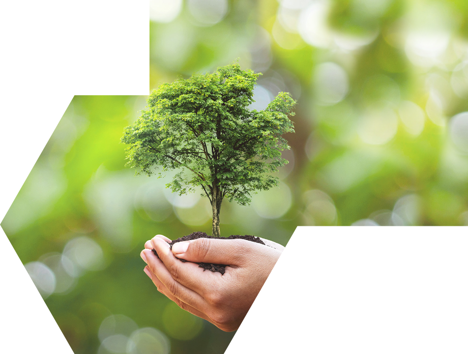 ���Ё����΄�(chu��ng)��