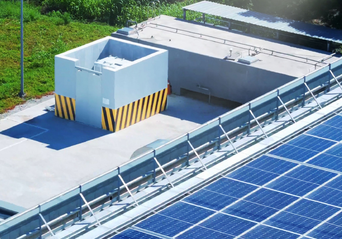 ���ީ`����능����`�����