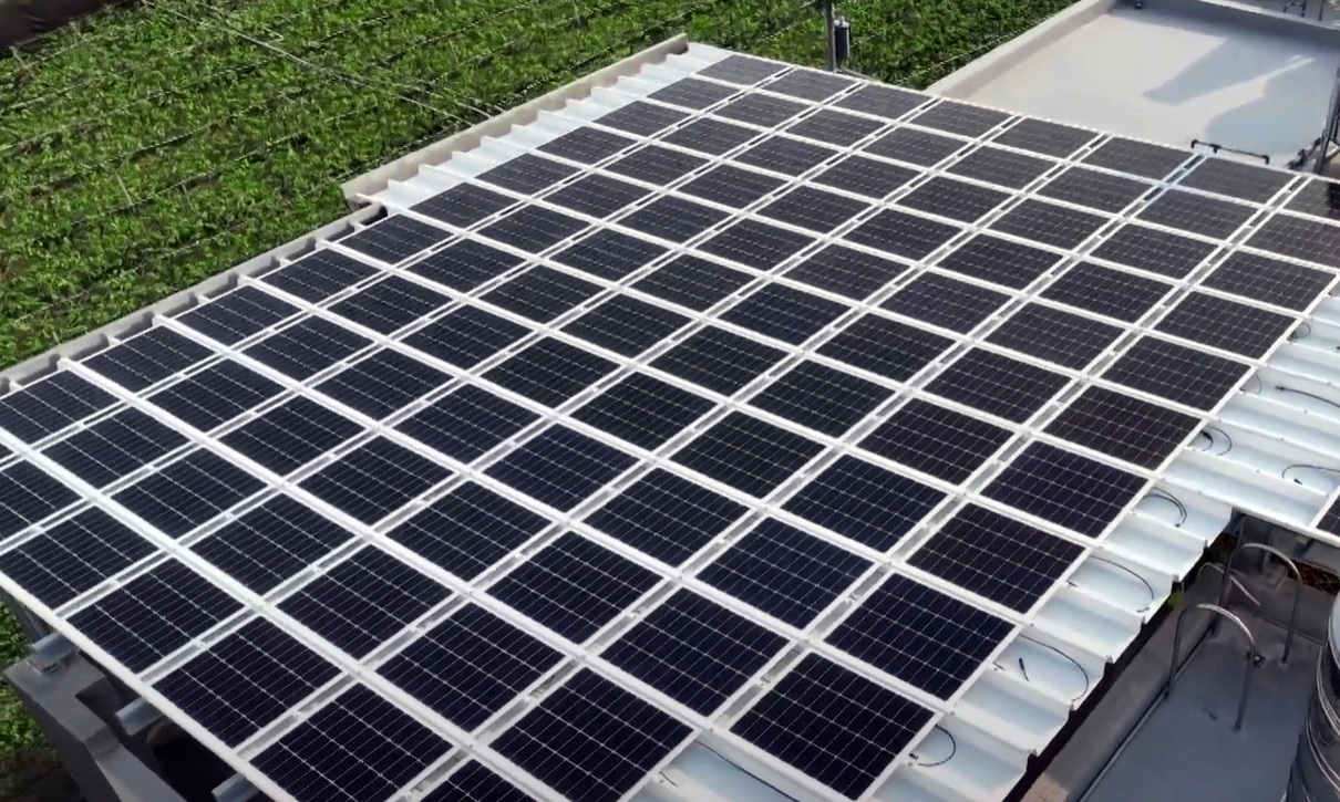 LEYU�پWSunSteel����˰������p���Y�����������Cеؓ�d���ȼ�����ͺ�ȣ��ɏV���\���ڶ�Ԫ����