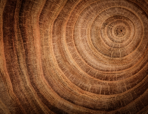 �h(hu��n)���γ־A������