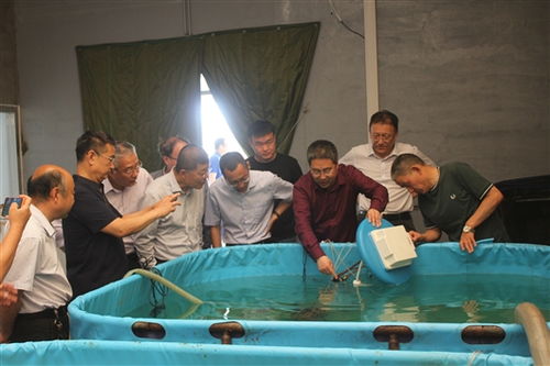 智能化養(yǎng)殖裝備與智慧管理平臺開發(fā)成果通過驗收，助推海水養(yǎng)殖技術(shù)研發(fā)升級