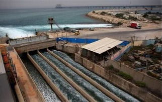 從“陸稻”到“海稻” 中國科學家以創(chuàng)新養(yǎng)殖技術(shù)布局全球海洋