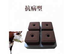 鋤禾日當(dāng)午 葉菜種植與畜牧漁業(yè)飼料的農(nóng)業(yè)協(xié)同發(fā)展