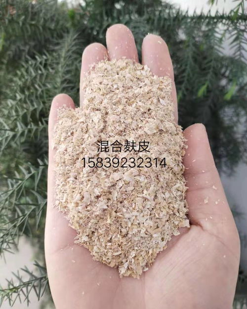 廠家直銷全國發(fā)貨 畜牧養(yǎng)殖飼料用小麥麩皮，為雞鴨魚水產(chǎn)牛羊豬養(yǎng)殖提供優(yōu)質(zhì)營養(yǎng)