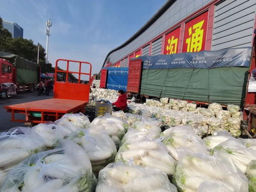 透明包裝下的安心年 光明食品集團(tuán)春節(jié)保供的三重底色